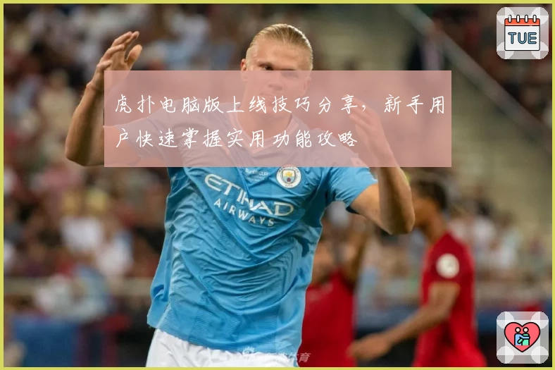 虎扑电脑版上线技巧分享，新手用户快速掌握实用功能攻略