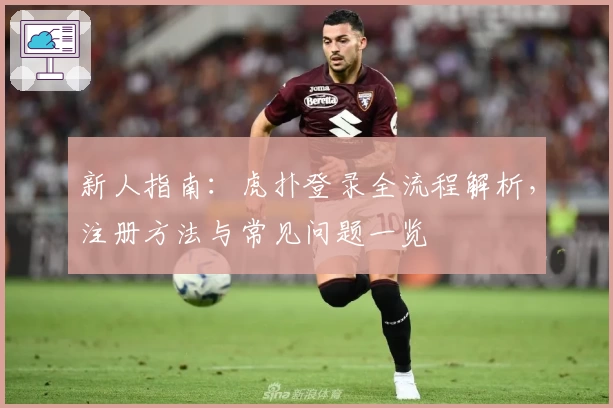 新人指南：虎扑登录全流程解析，注册方法与常见问题一览