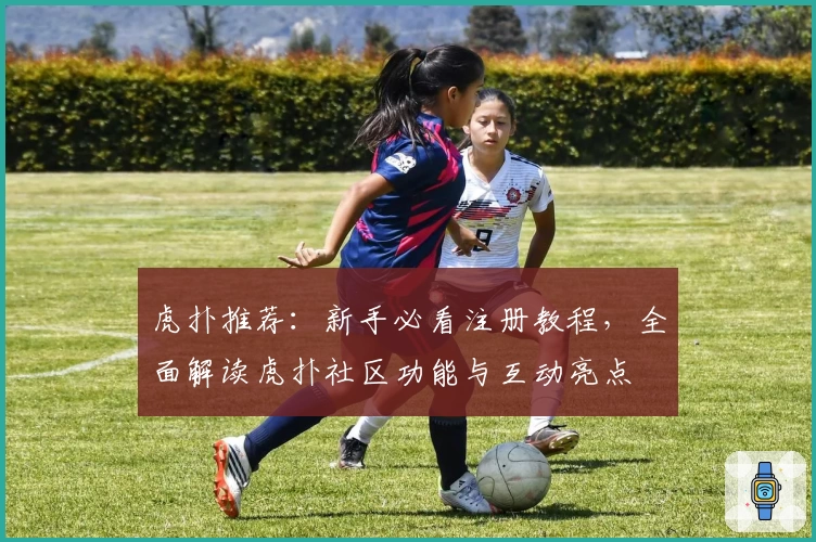 虎扑推荐：新手必看注册教程，全面解读虎扑社区功能与互动亮点