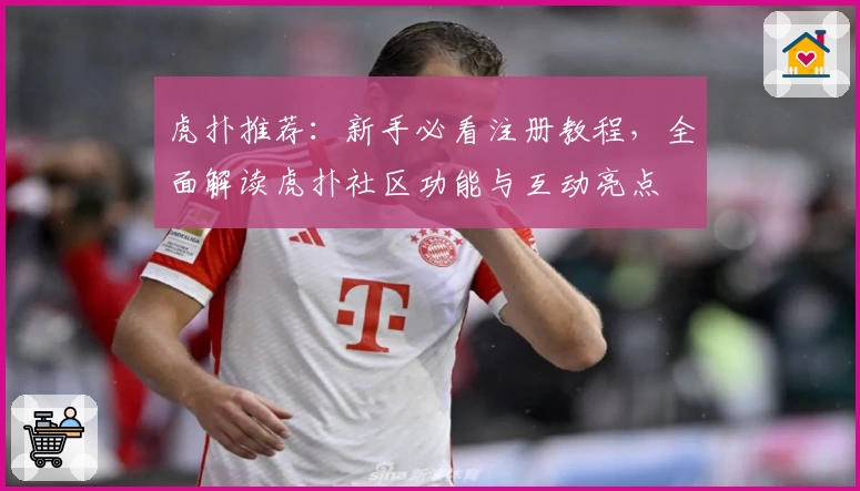 虎扑推荐：新手必看注册教程，全面解读虎扑社区功能与互动亮点