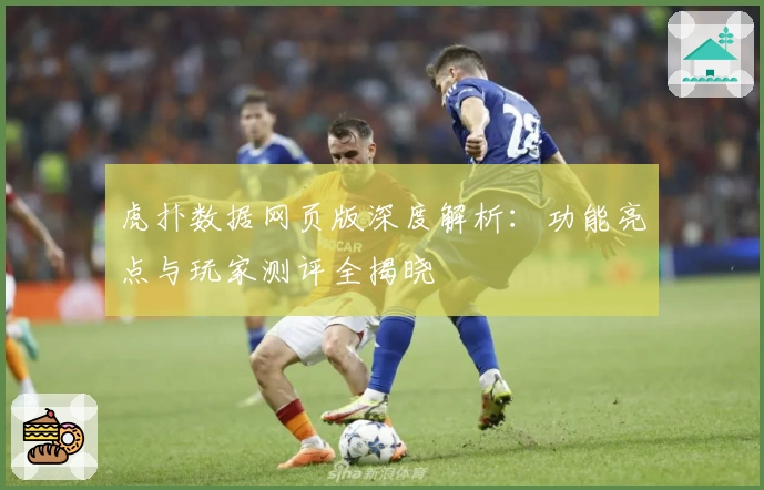 虎扑数据网页版深度解析：功能亮点与玩家测评全揭晓